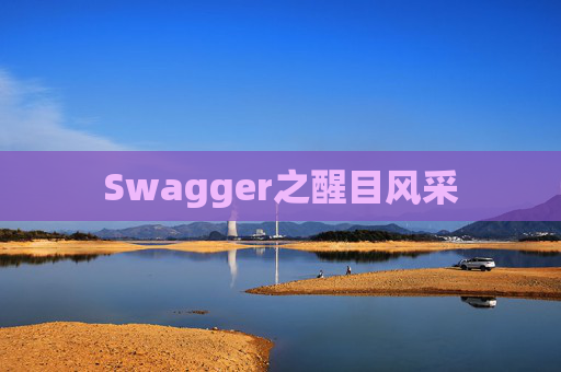 Swagger之醒目风采